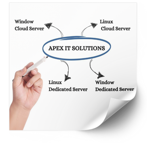 About Apex IT Solutions